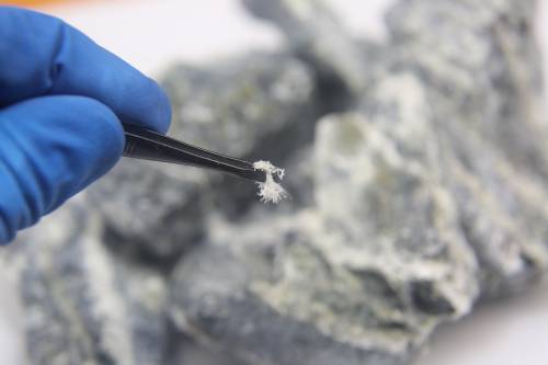 asbestos is high risk