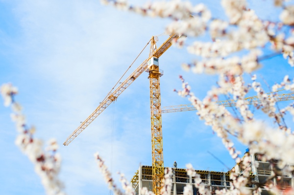 Spring Blossoms and Crane