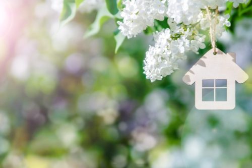 house among the branches of the white lilac Spring Construction Concept