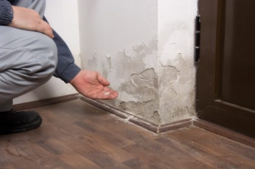 Water damaged wall Water Damage